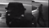 Suspect and vehicle